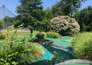 Flowering trees on the mini golf course